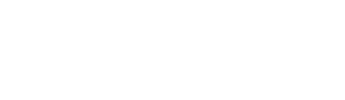 AnyTask Professionals